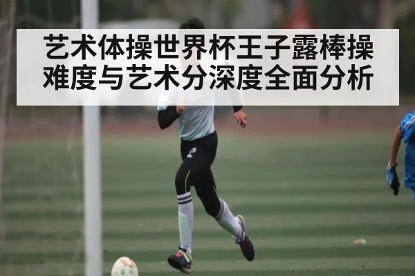 艺术体操世界杯王子露棒操难度与艺术分深度全面分析